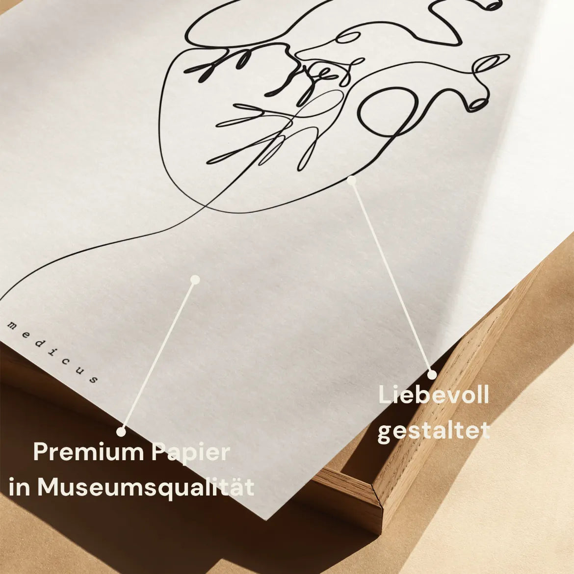 Herz Anatomie Minimalist