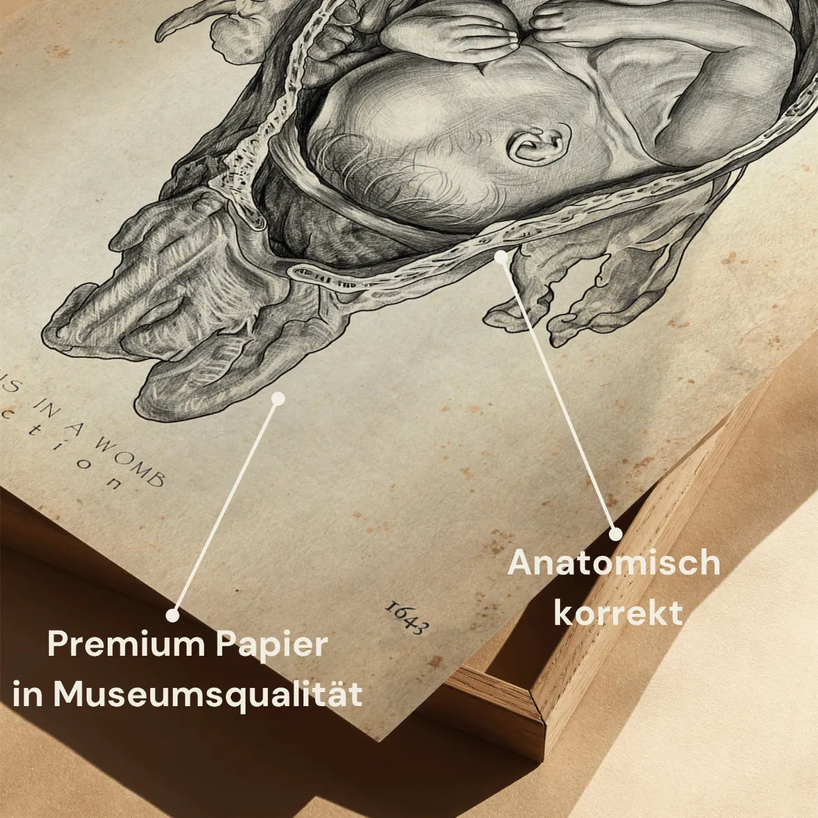 Baby in Gebärmutter