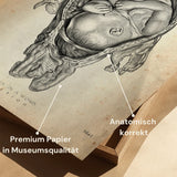 Baby in Gebärmutter