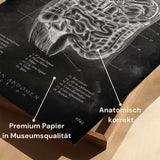 The Waist on Average - Chalkboard