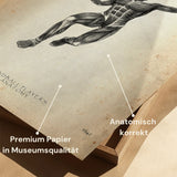 Handball Anatomie Poster