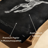 Handball Anatomie Poster - Chalkboard