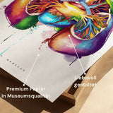Lungen Anatomie - Rainbow