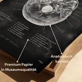 Skull Base Anatomy - Chalkboard
