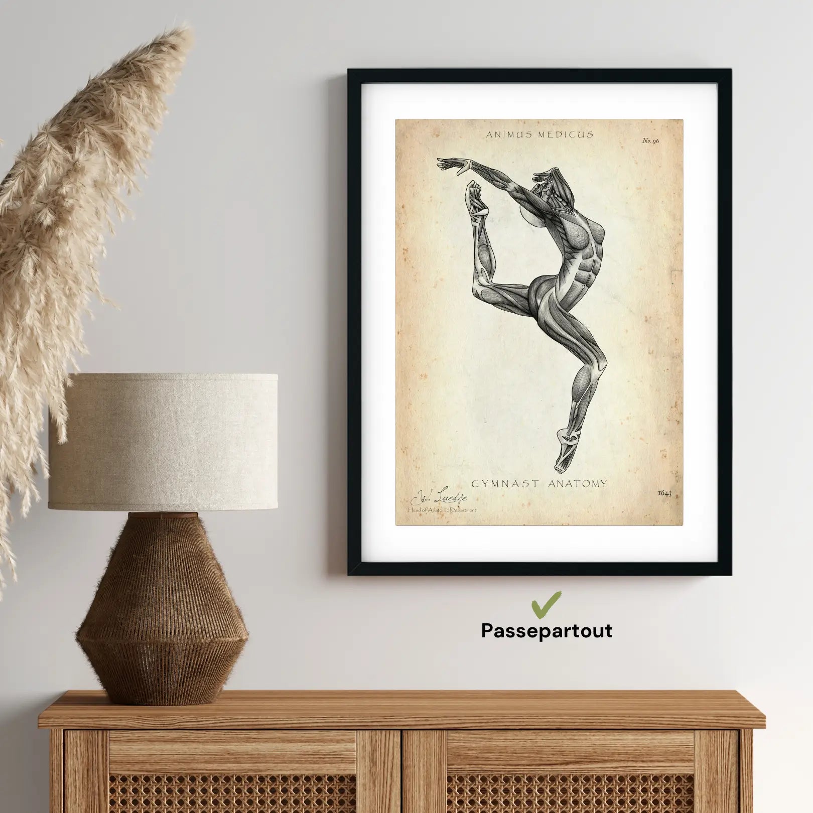 Gymnastics Anatomy Poster II