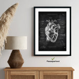 Herz Anatomie - Chalkboard