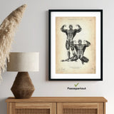 Bodybuilder anatomy poster