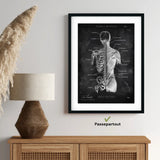 Rücken Anatomie | Knochen und Muskeln - Chalkboard