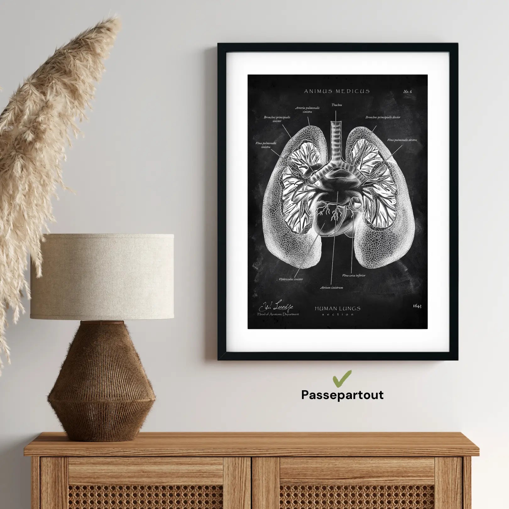 Lungen Anatomie - Chalkboard