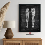 Beinmuskulatur Anatomie - Chalkboard