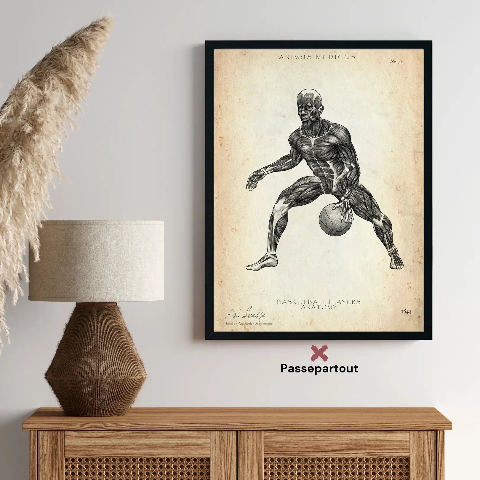 Basketball Anatomie Poster