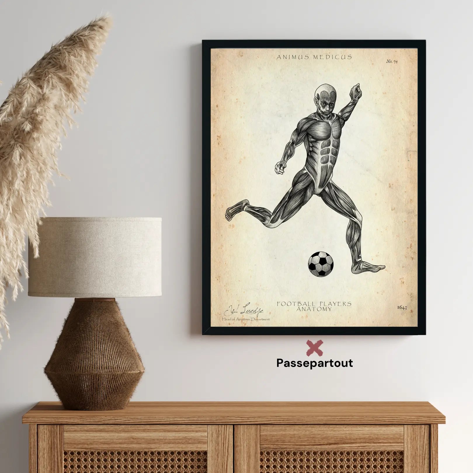 Fußball Anatomie Poster