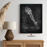 Dorsal Arm Anatomy - Chalkboard