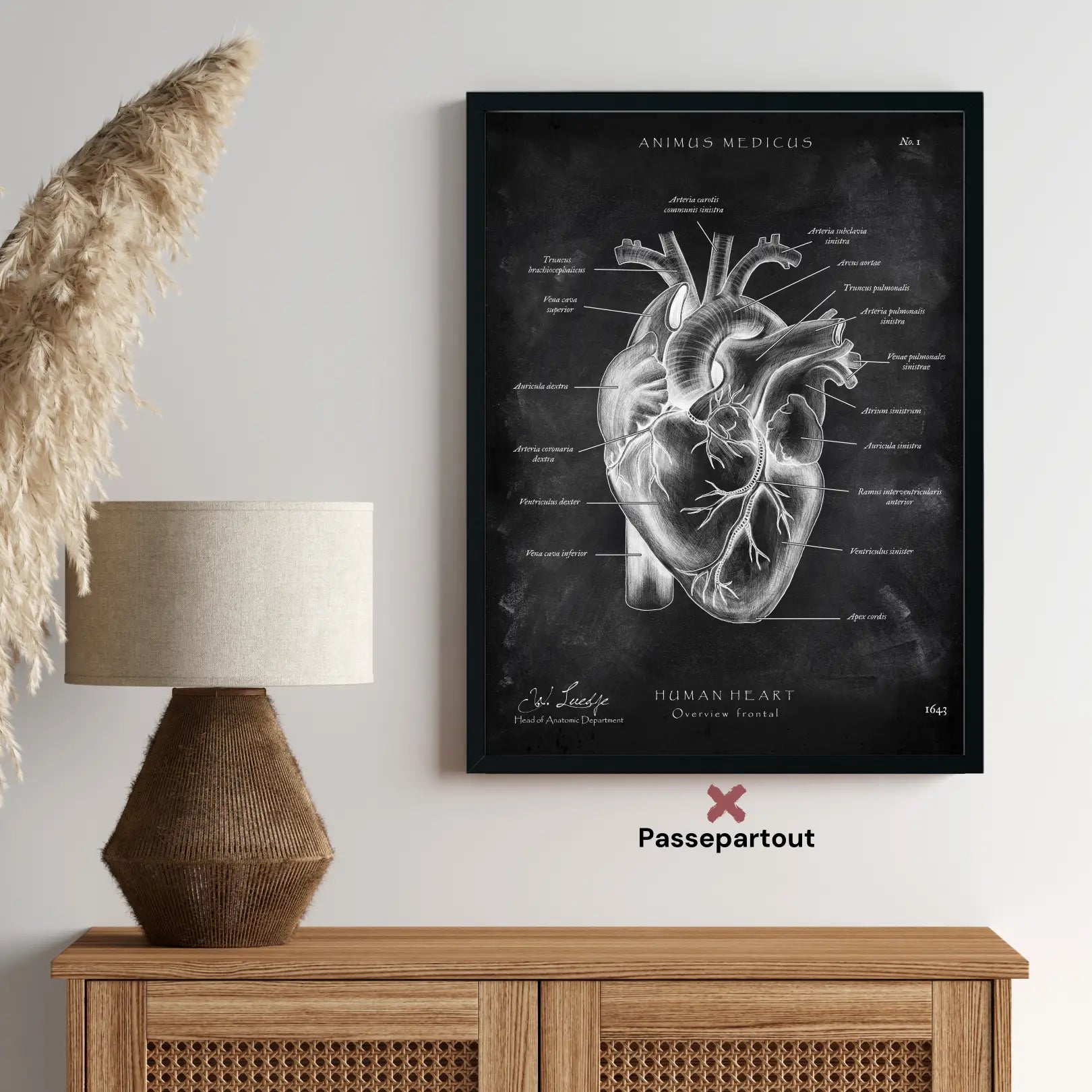 Herz Anatomie - Chalkboard