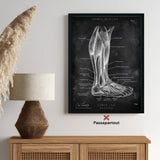 Lower leg muscles - chalkboard