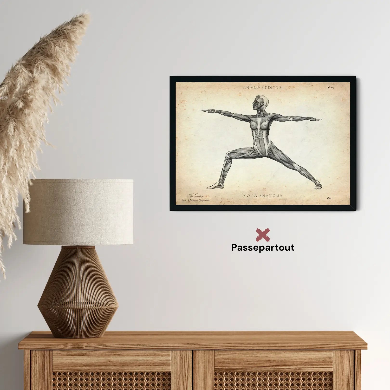 Yoga Anatomie Poster