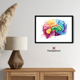 Gehirn Anatomie - Rainbow