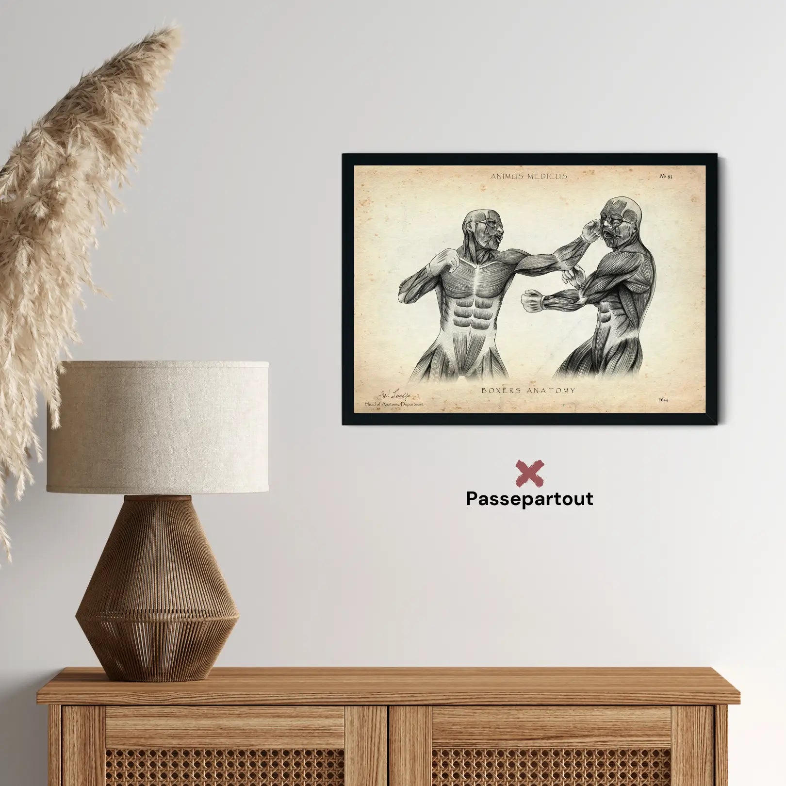 Boxer Anatomie Poster