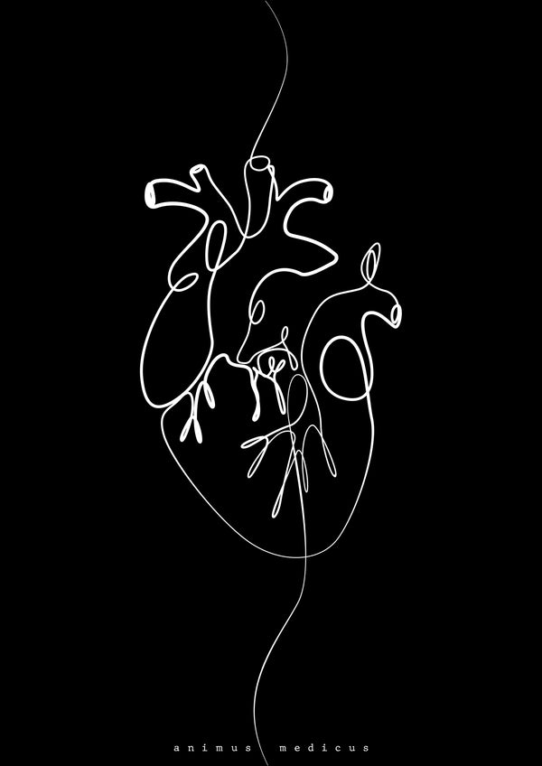 Herz Anatomie Minimalist Dark