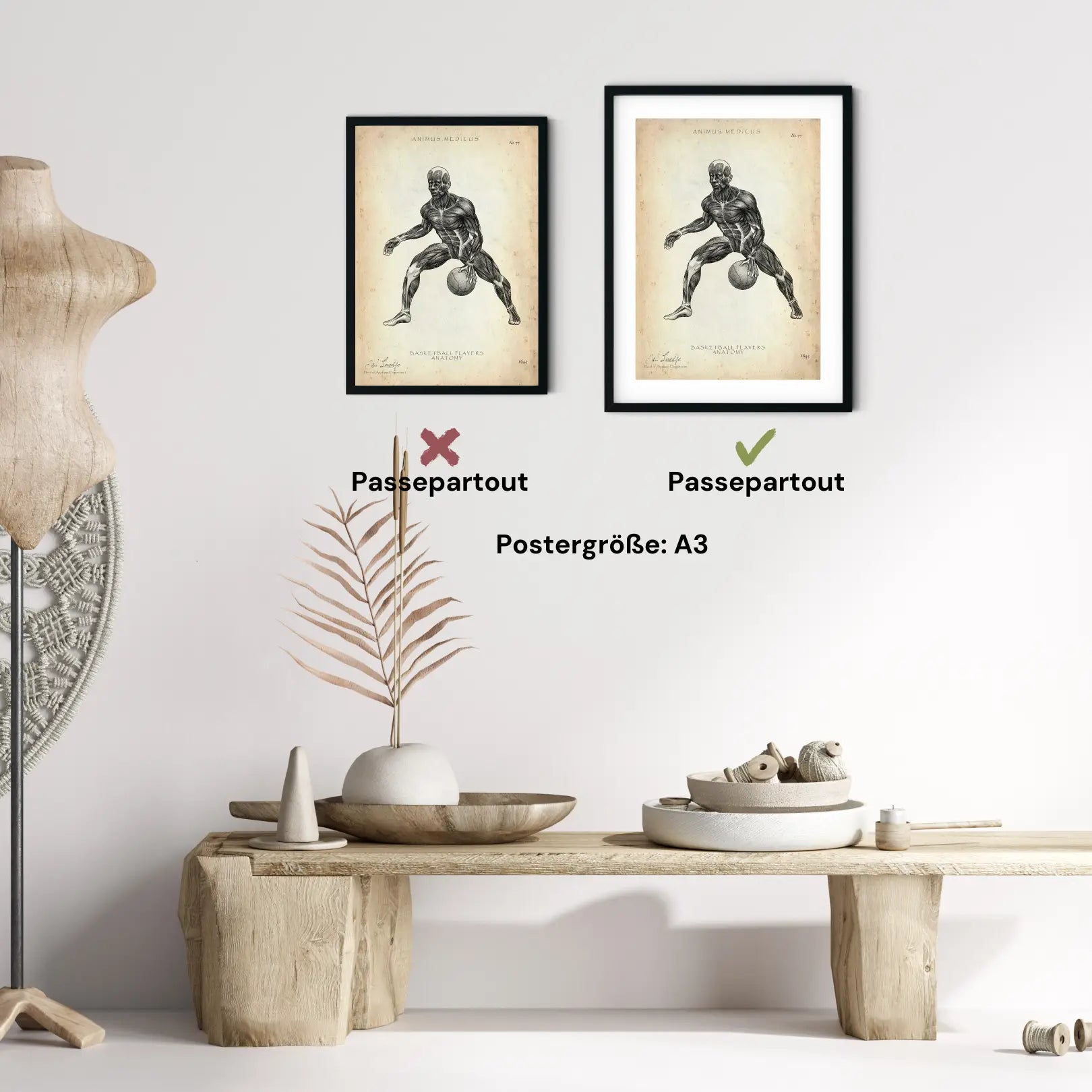 Basketball Anatomie Poster