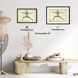 Yoga anatomy poster