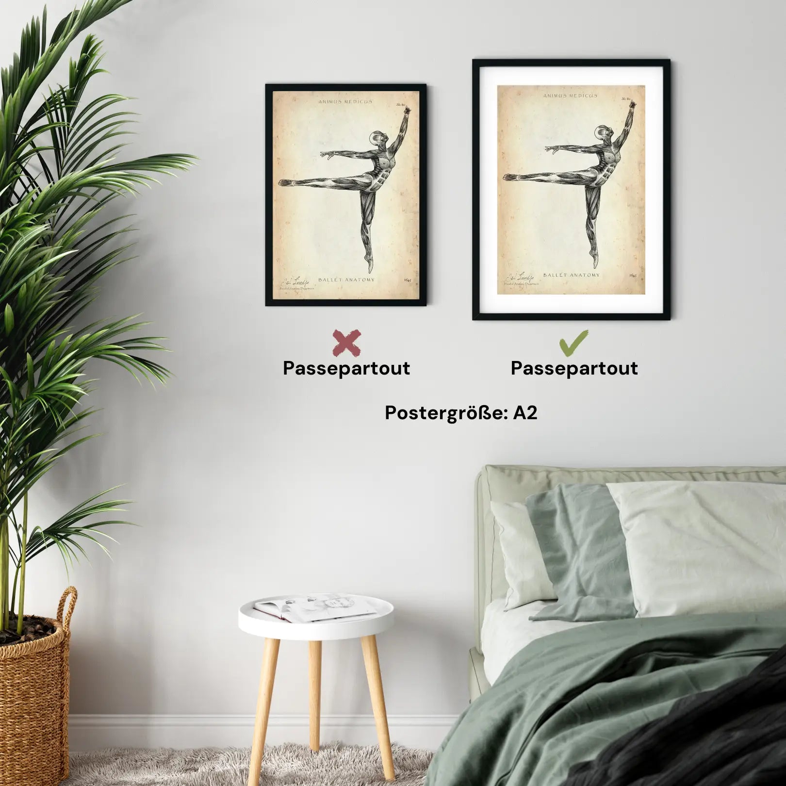 Ballet anatomy poster