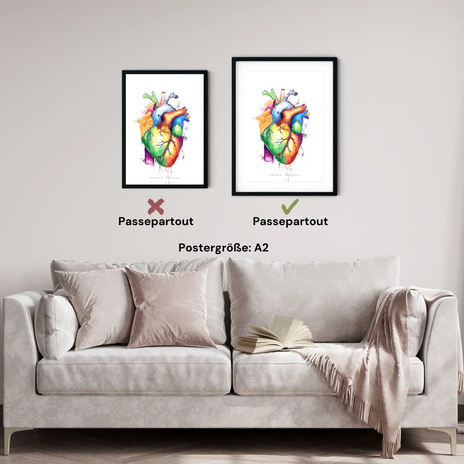 Herz Anatomie - Rainbow