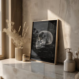 Skull Bone Anatomy - Chalkboard