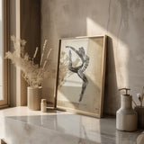 Turnen Anatomie Poster II