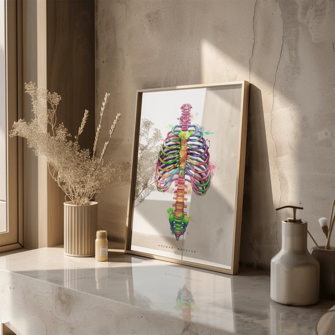 Thorax Anatomy - Rainbow