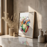 Herz Anatomie - Rainbow