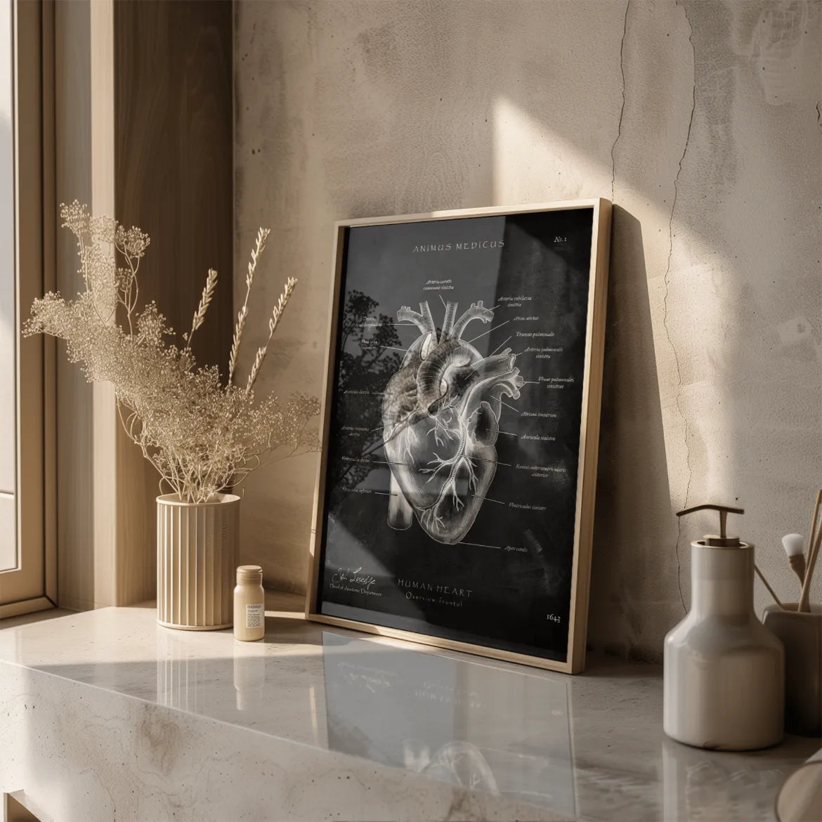 Herz Anatomie - Chalkboard