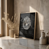 Skull Base Anatomy - Chalkboard