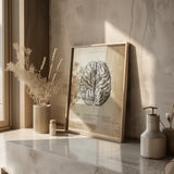 The human brain