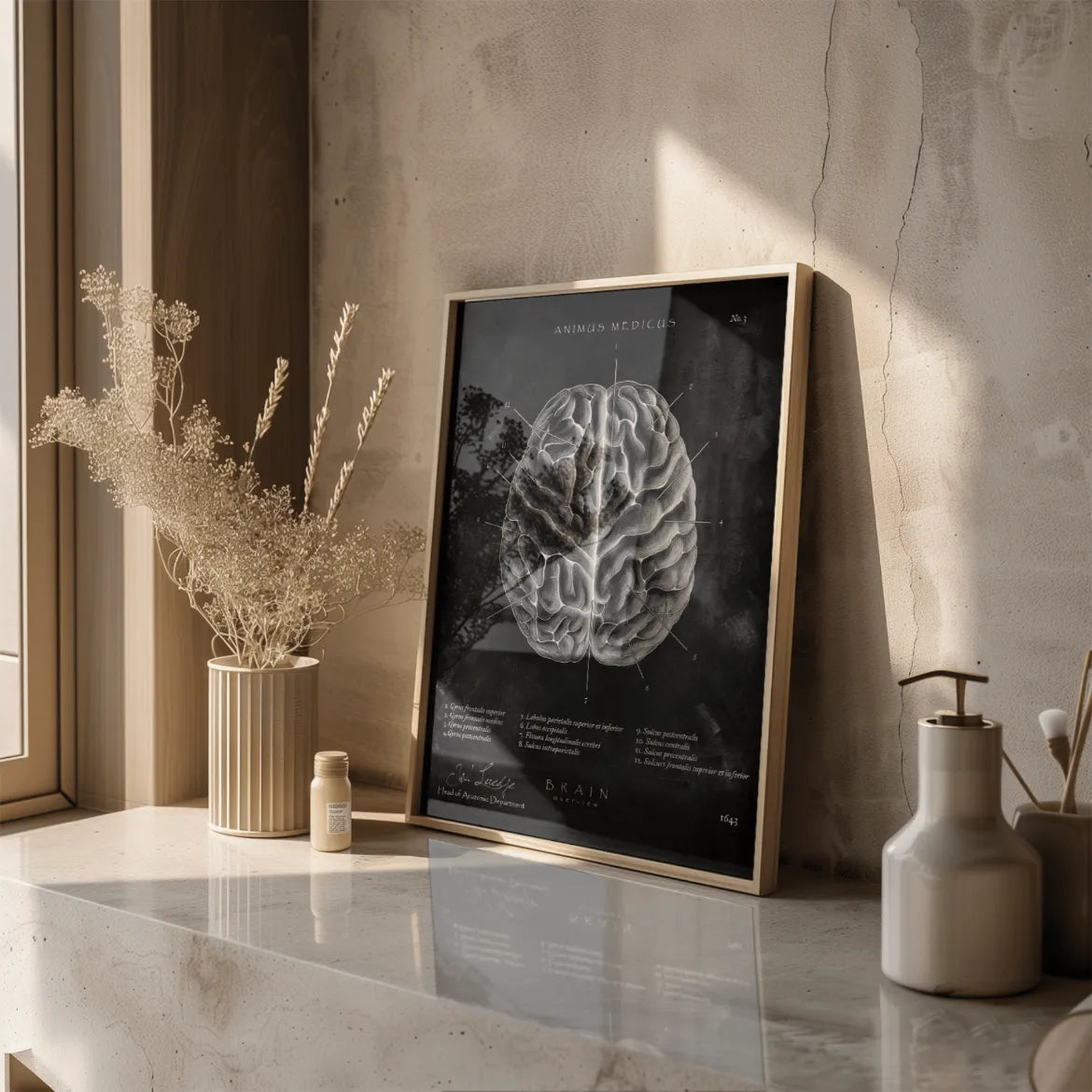 Das menschliche Gehirn - Chalkboard