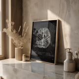 The Human Brain - Chalkboard