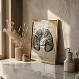 Lungen Anatomie
