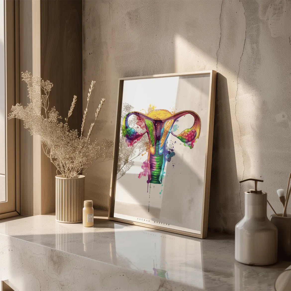 Uterus Anatomy - Rainbow