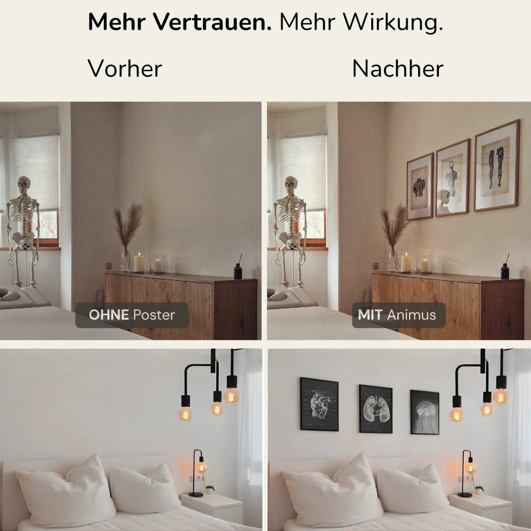 Fuß Anatomie Sammlung