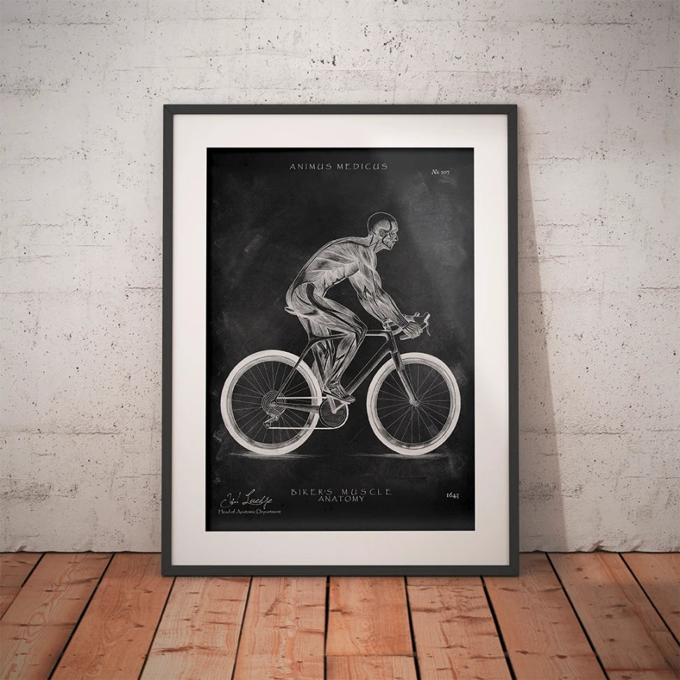 Rennrad Fahrer Anatomie - Chalkboard - Animus Medicus