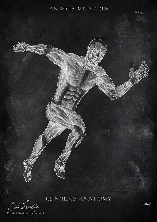Läufer Anatomie Poster - Chalkboard