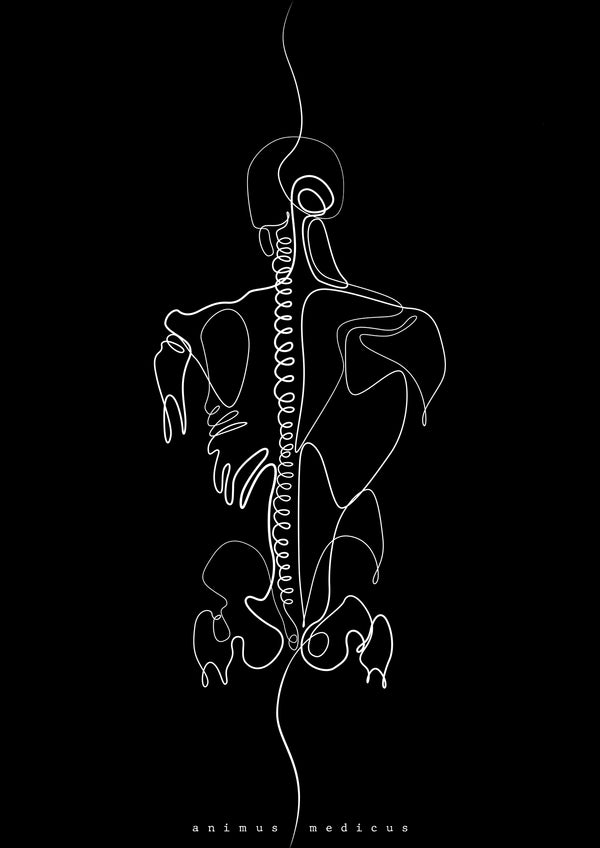 Rücken Anatomie Minimalist Dark
