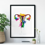 Uterus Anatomie - Rainbow