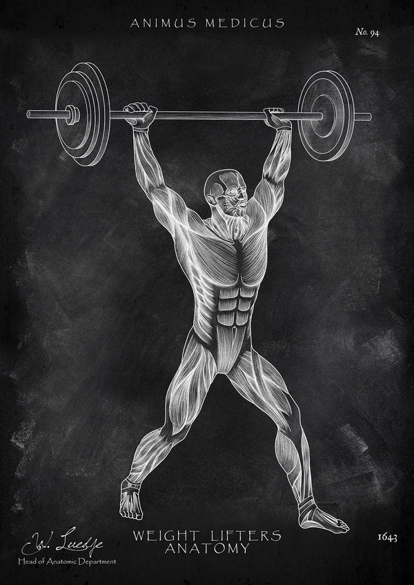 Gewichtheben Anatomie Poster - Chalkboard