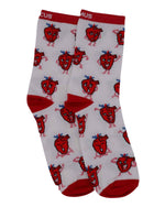 Anatomie Socken Set aus Bio-Baumwolle - Animus Medicus GmbH