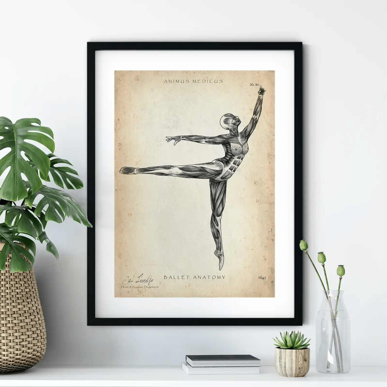 Ballett Anatomie Poster - Animus Medicus GmbH