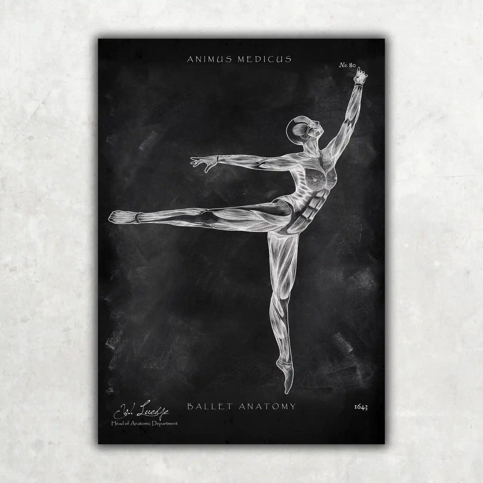 Ballett Anatomie Poster - Chalkboard - Animus Medicus GmbH