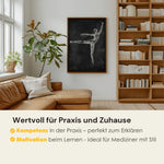 Ballett Anatomie Poster - Chalkboard - Animus Medicus GmbH