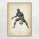 Basketball Anatomie Poster - Animus Medicus GmbH