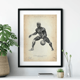 Basketball Anatomie Poster - Animus Medicus GmbH